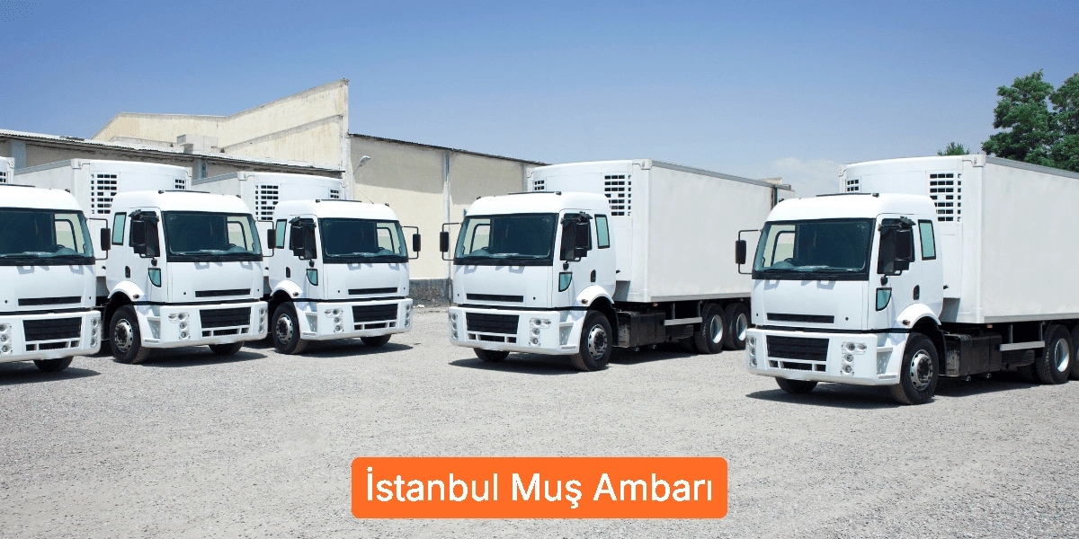 İstanbul Muş Ambarı