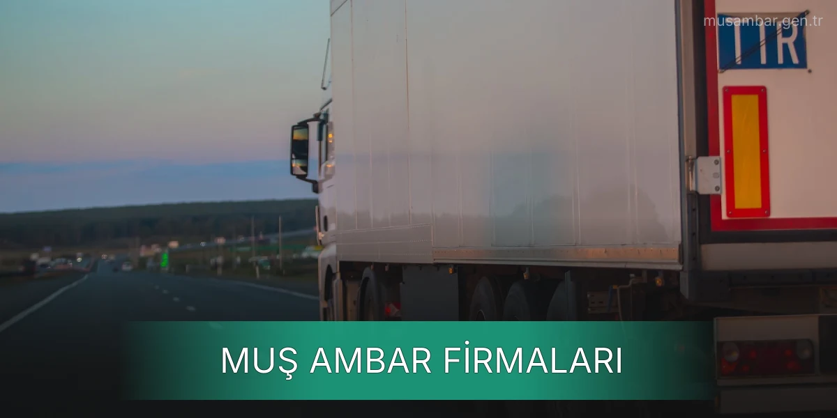 İstanbul Muş Ambar Firmaları