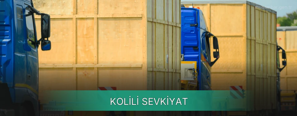 Muş Kolili Sevkiyat Ambar Firmaları